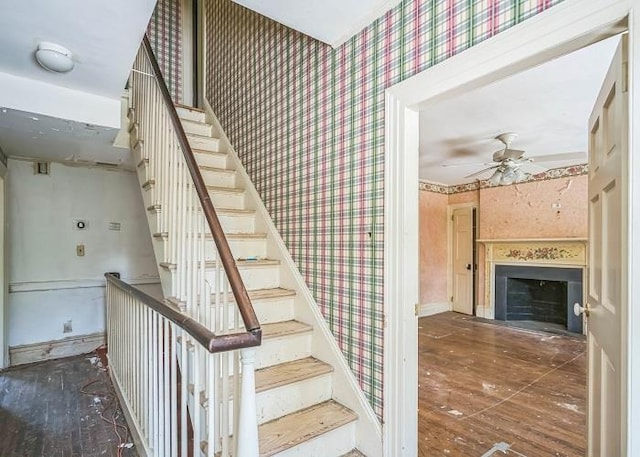 staircase with hardwood / wood-style flooring and ceiling fan