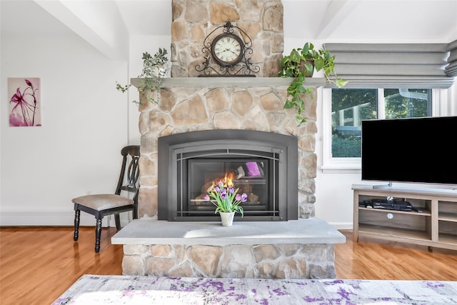 details with baseboards, wood finished floors, and a stone fireplace