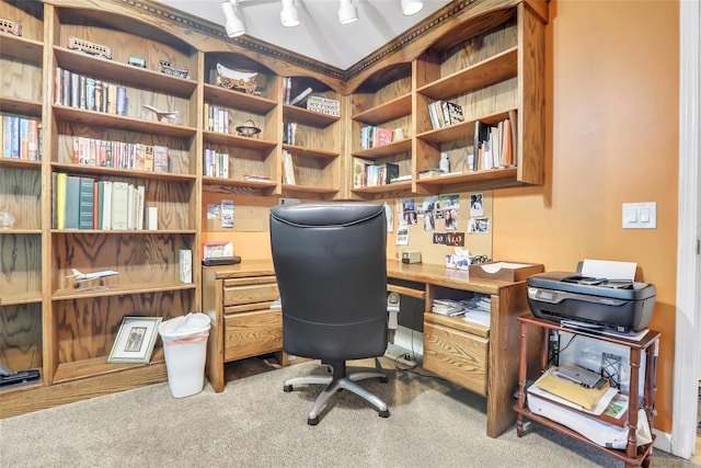 carpeted office featuring track lighting