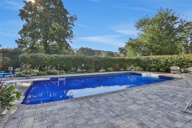 view of pool with a fenced in pool, a patio, and a diving board