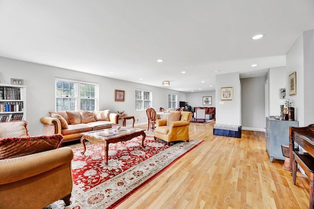 living room featuring light hardwood / wood-style floors