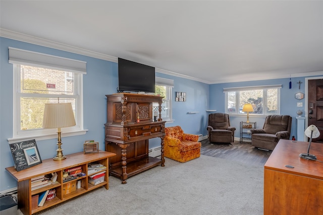 living room featuring a baseboard heating unit, ornamental molding, and carpet flooring