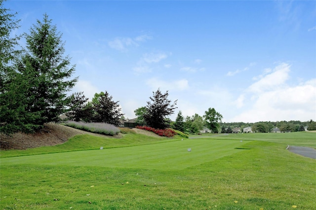 view of community with golf course view and a yard