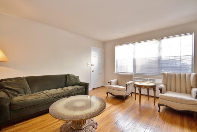 living room with light hardwood / wood-style flooring