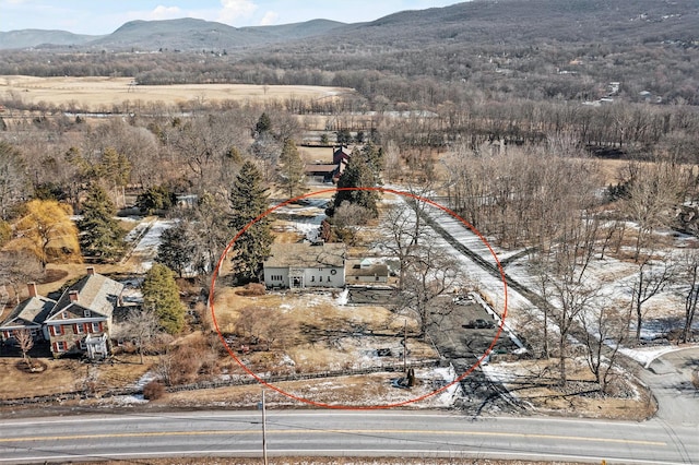 birds eye view of property featuring a mountain view