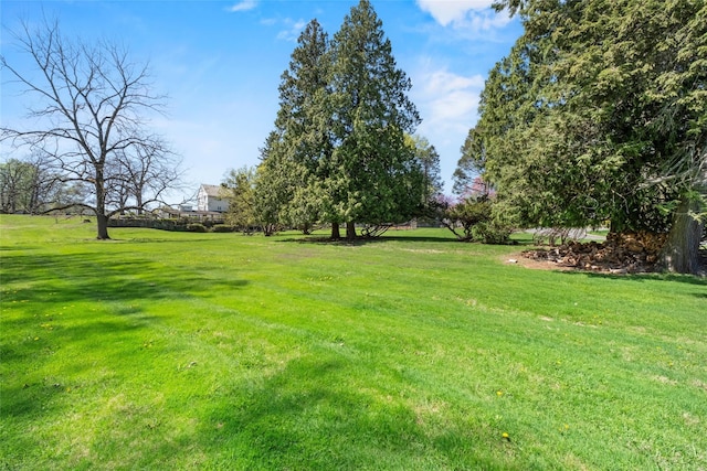 100 Pleasant Hill Rd, New Windsor, NY 12553 - view of green lawn