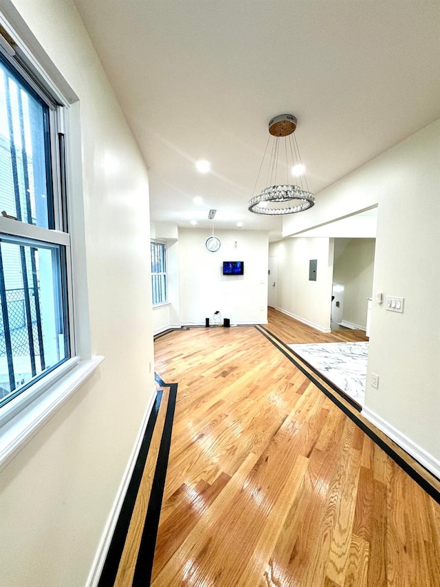 interior space with plenty of natural light and light hardwood / wood-style flooring