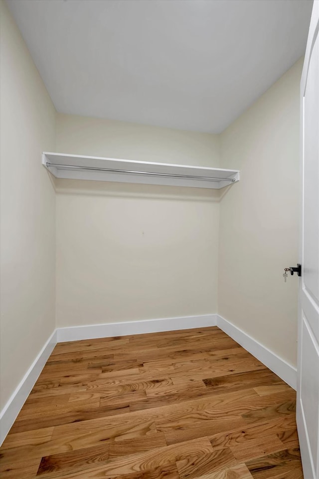 walk in closet featuring light hardwood / wood-style floors