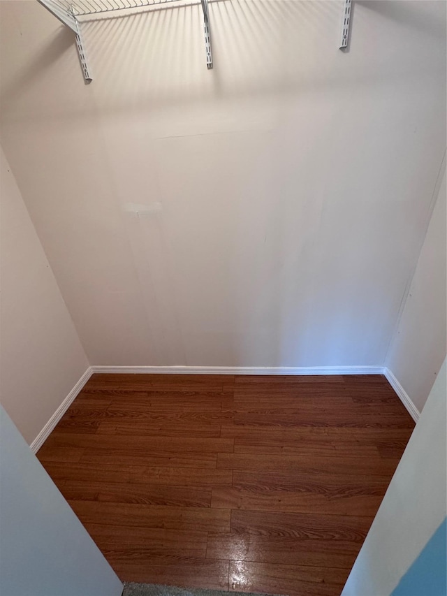 walk in closet with hardwood / wood-style flooring