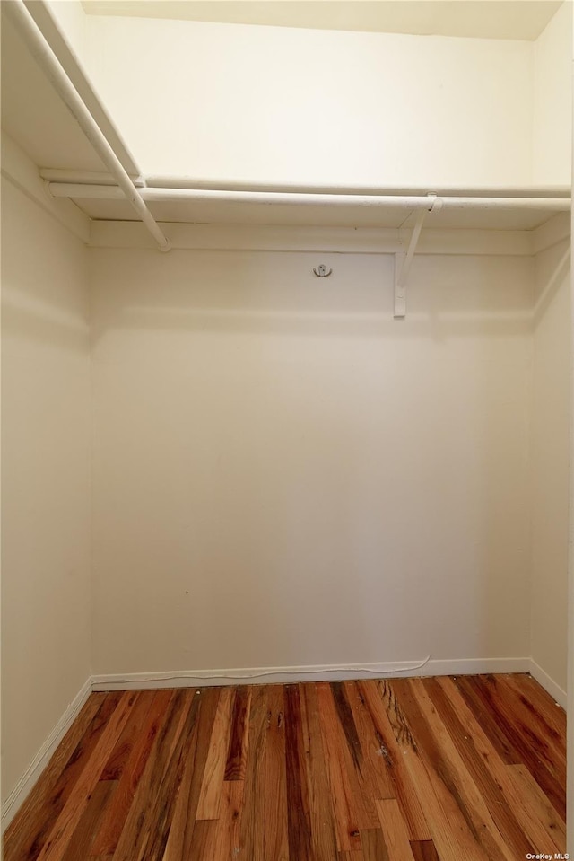 spacious closet featuring wood-type flooring