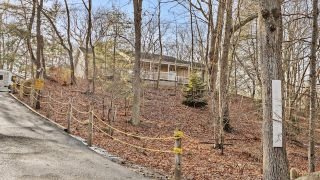 view of yard featuring covered porch