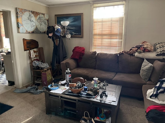 living room featuring crown molding and carpet