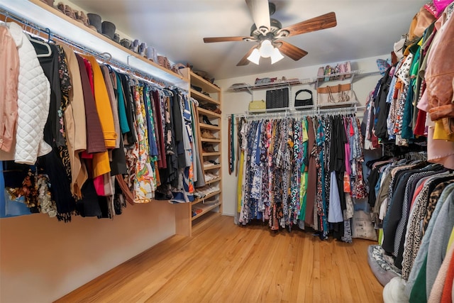 walk in closet with ceiling fan and light hardwood / wood-style flooring