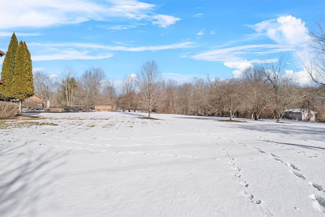 view of snowy yard