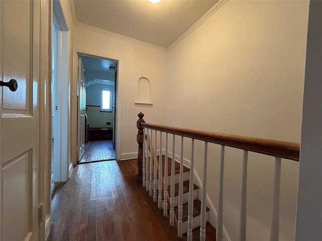 corridor with crown molding and dark hardwood / wood-style floors