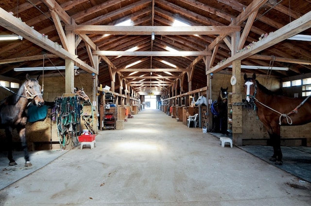 view of horse barn