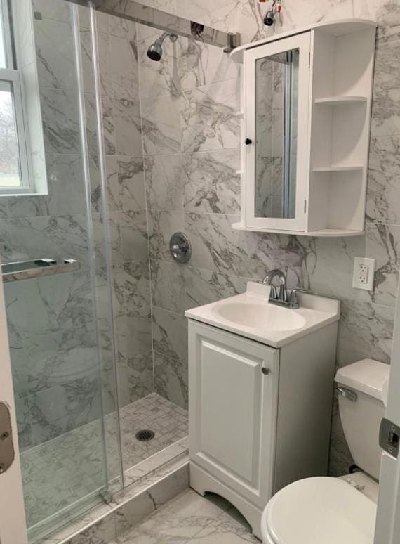 bathroom with vanity, toilet, and walk in shower