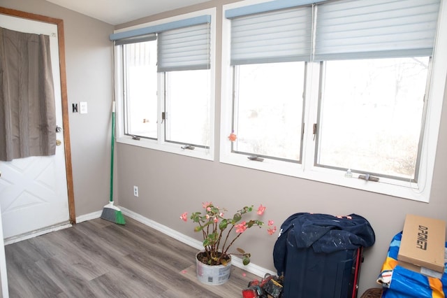 interior space featuring hardwood / wood-style flooring and a healthy amount of sunlight