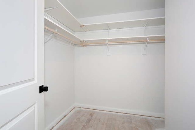 walk in closet featuring wood finished floors