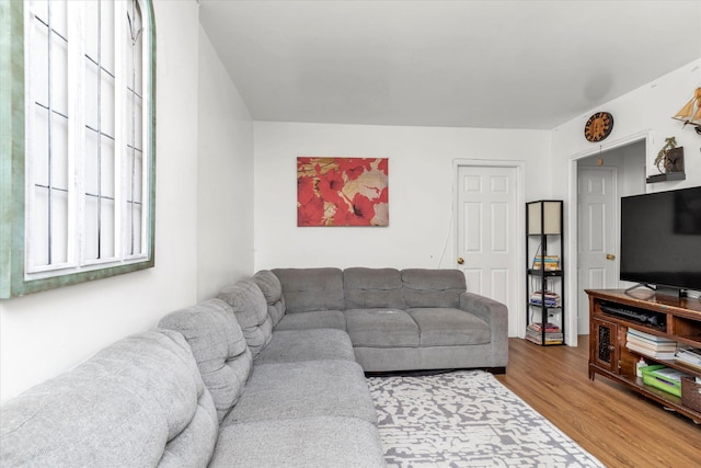 living room with wood-type flooring