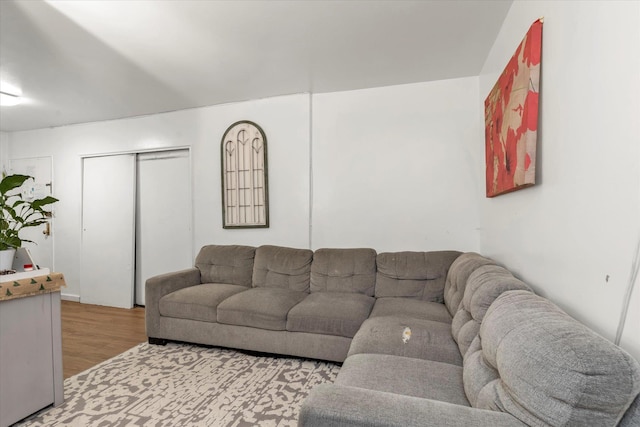 living room featuring light hardwood / wood-style flooring