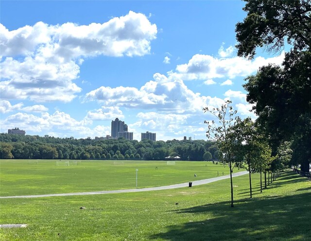 view of community with a yard