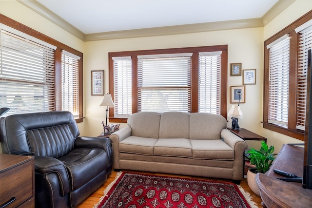 living room with light wood-type flooring