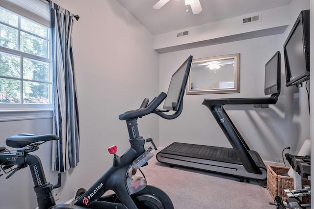 workout area featuring a wealth of natural light, ceiling fan, and carpet