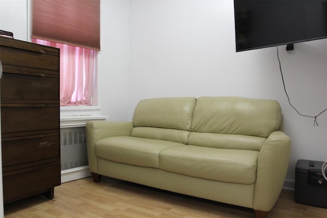 living room with radiator heating unit and light hardwood / wood-style floors