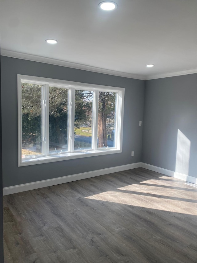 spare room with crown molding and dark wood-type flooring