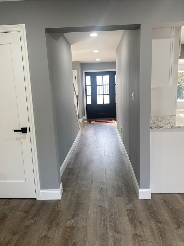 entryway featuring dark wood-type flooring