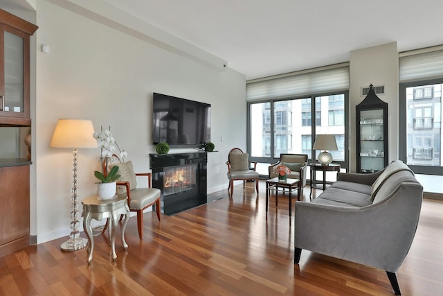 living room featuring wood-type flooring