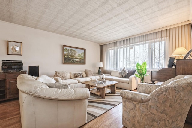 living room featuring wood-type flooring