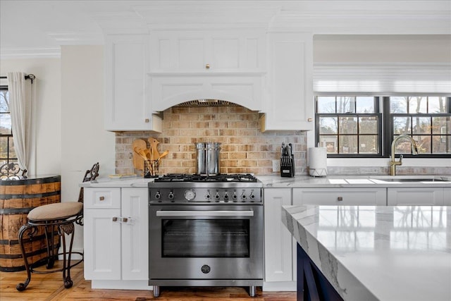 kitchen featuring white cabinets, sink, stainless steel stove, and light stone counters