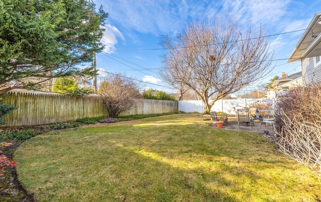 view of yard with a patio