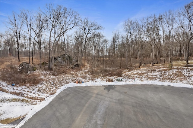 Listing photo 3 for LOT5 Pond View Ct, Hyde Park NY 12538