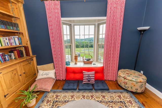 sitting room featuring wood-type flooring