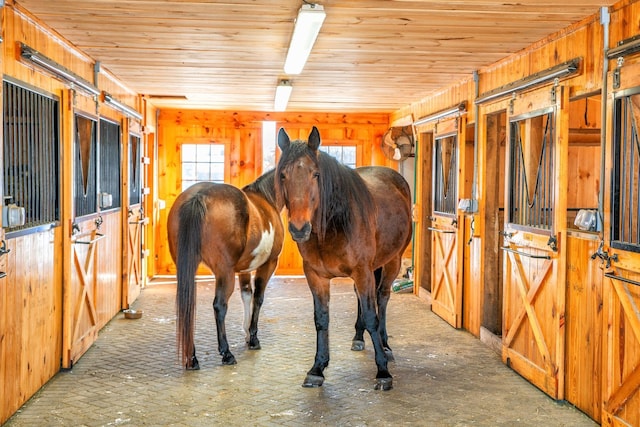 view of horse barn