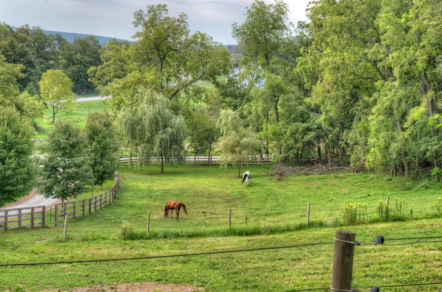 view of community featuring a rural view and a lawn