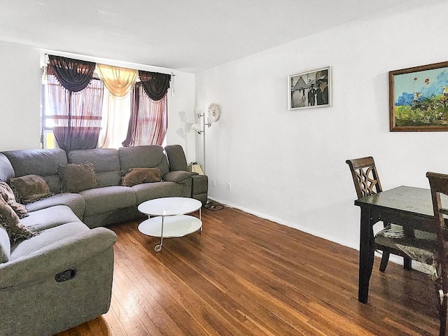 living room with wood-type flooring