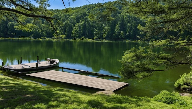 view of dock featuring a water view