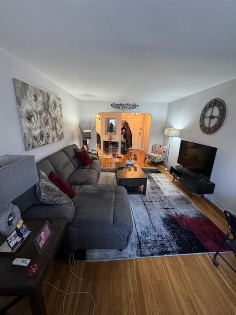 living room with wood-type flooring