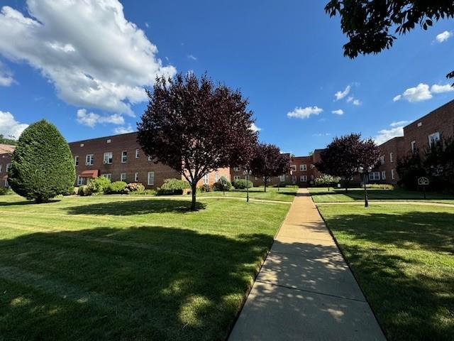 view of community with a lawn