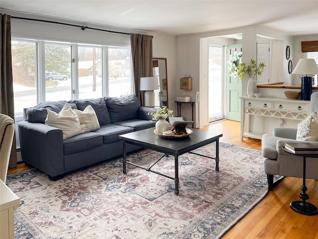 living room featuring light hardwood / wood-style flooring