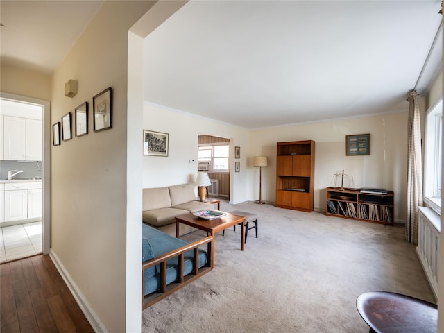 living room featuring ornamental molding, carpet, and sink