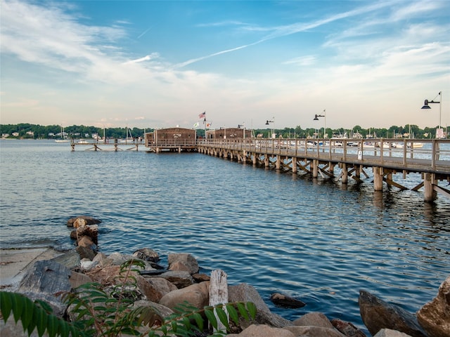 dock area with a water view