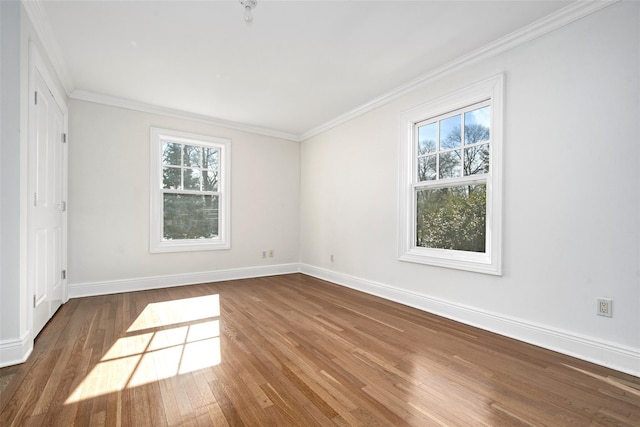 interior space with baseboards, dark wood finished floors, and crown molding