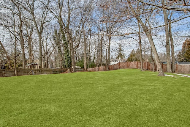 view of yard with a fenced backyard