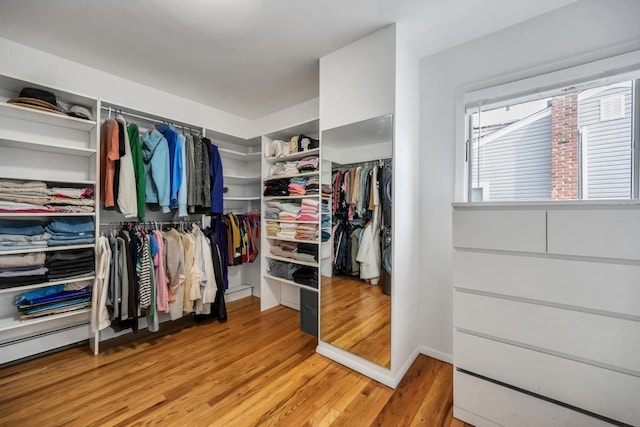 spacious closet featuring light hardwood / wood-style flooring