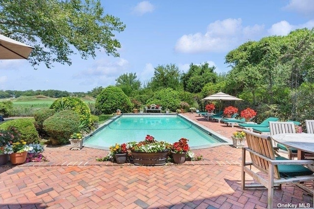 view of swimming pool with a patio